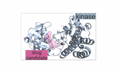 eLife für TKFI website final_2