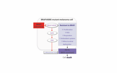 GraphicalAbstract_figure1